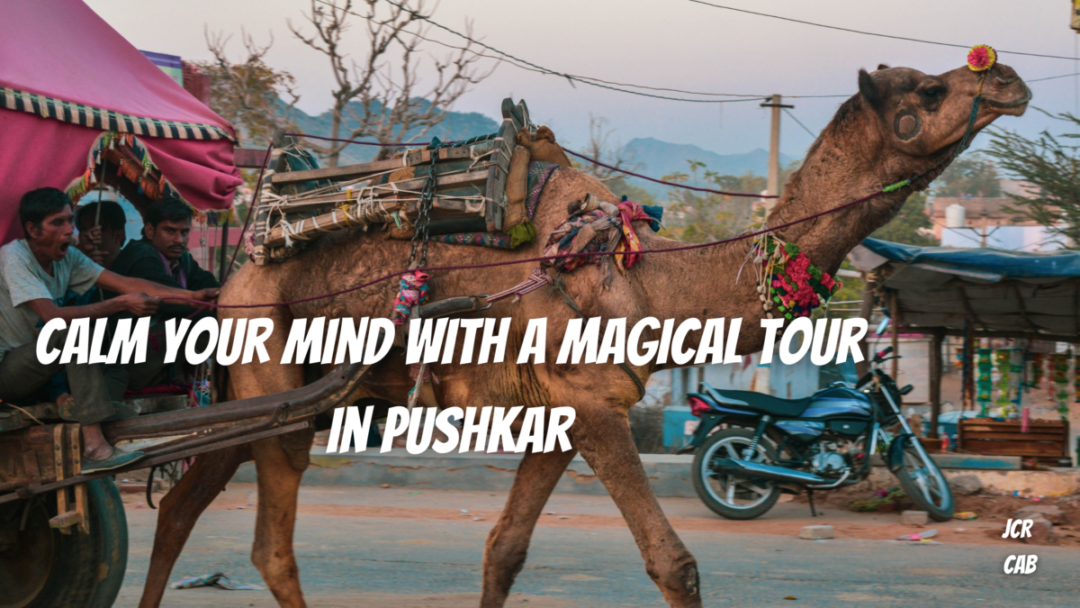 Calm your mind with a Magical Tour in Pushkar