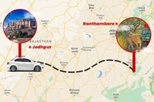JODHPUR TO RANTHAMBHOR TAXI