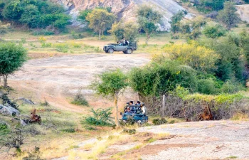 Jawai-1